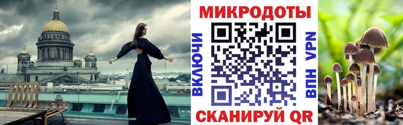 Купить закладки  Губкинский  Псилоцибиновые грибы Magic Shrooms 