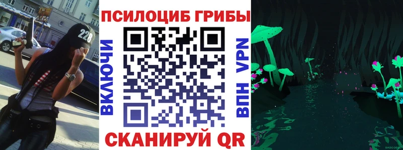 Псилоцибиновые грибы Cubensis Губкинский