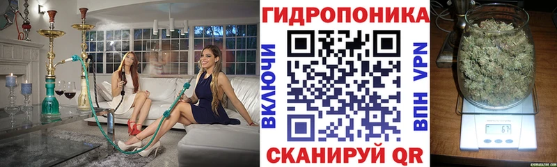 Купить  Губкинский  Марихуана SATIVA & INDICA 